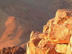 photo "The Gold"