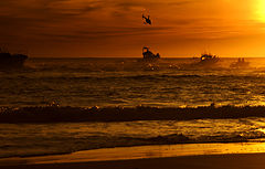 photo "TUNA BOATS"