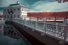 photo "***"