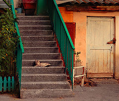 фото "Двор"