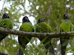 фото "Happy family"