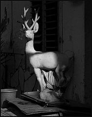 photo "***"