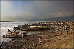 фото "port"