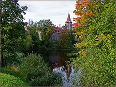 фото "Замок обыкновенный"