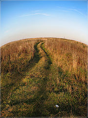 photo "rut"