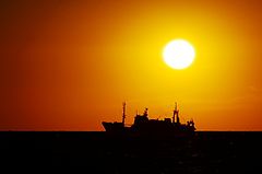 photo "Star of the fisherman"