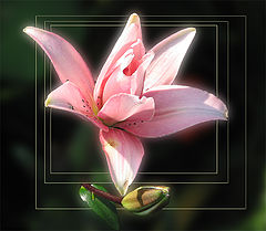 photo "The Beggining"