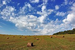 фото "Вересень"