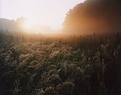 photo "***"