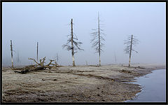 фото "Предзимье"