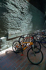 photo "bicycles"