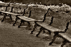 photo "***"
