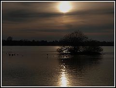 photo "Lake "Damhus soen " Copenhagen"