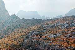 photo "To top"