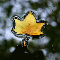 photo "Memoirs on the Parisian autumn"