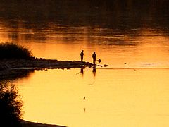 фото "Friendship"