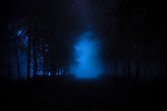 photo "***"