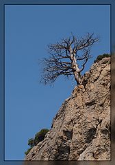 photo "***"