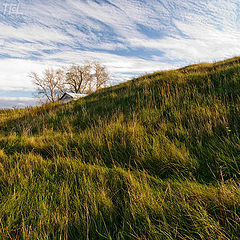 photo "Lines"