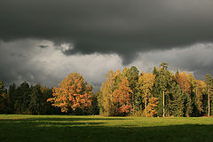 фото "Осень в наступлении"