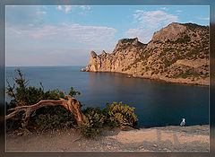 photo "Новый свет"