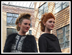 photo "Copenhagen Couple"