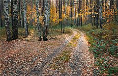 photo "Autumn light"