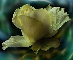 photo "Autumn waltz"