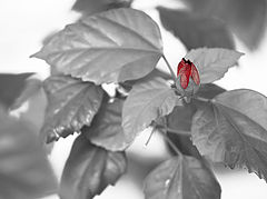 фото "Новое"