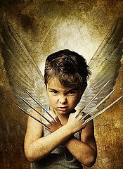 photo "jack aka wolverine"