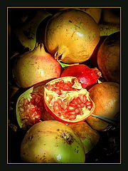 фото "pomegranate"