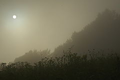 photo "***"