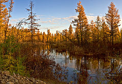 photo "Осенняя  пора..."