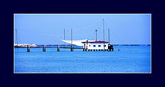 фото "blue"