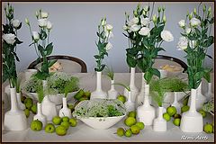 фото "feast at the table"