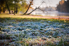 photo "Sunny frost"