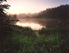 photo "***"
