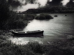 photo "storm peace"