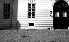 photo "***"