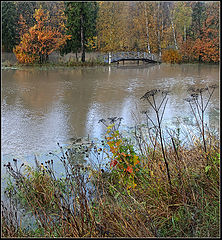 photo "Bridge"