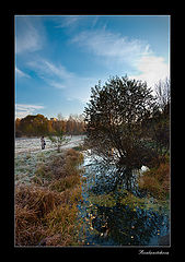 photo "Autumn one more time"
