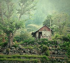 photo "hut on the hill"