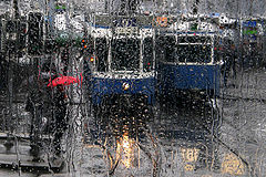 фото "Rainy Day"