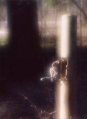 photo "***"
