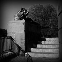 photo "IMG_2801"