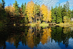 photo "***"