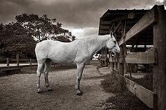 фото "oldness"