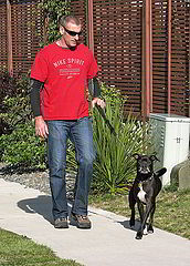 photo "Walking the Dog"