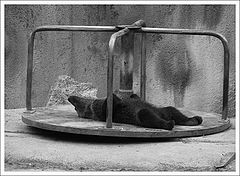 фото "and relax..."