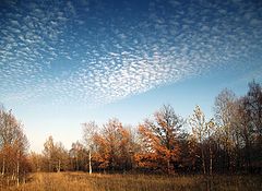 photo "October"